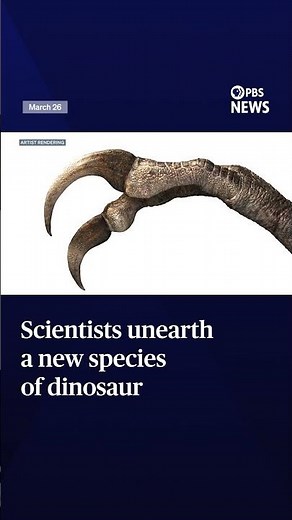Scientists unearth a new species of dinosaur