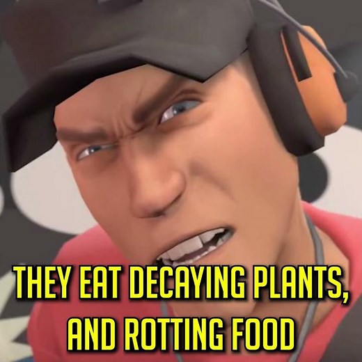 Soldier Is Eating Worms!?! 🐛😨 (TF2)
