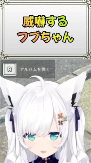 【＃２３３】サボってると言われ威嚇するフブちゃん🌽≪白上フブキ/ShirakamiFubuki≫