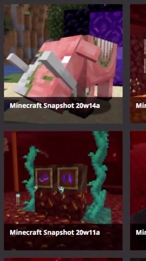 Do you have a chicken farm?? 🐔 #minecraft #skipthetutorial #skipthetutorialshorts #minecraftlifehacks