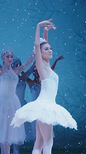 Don't miss the breathtaking dance, soaring music, and magical story of Nutcracker, Dec 6-29. Celebrate San Francisco's tradition. Tickets on sale now. | San Francisco Ballet