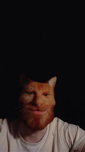 It's Okay — Short Cat Reflection: Don't Take Days for Granted