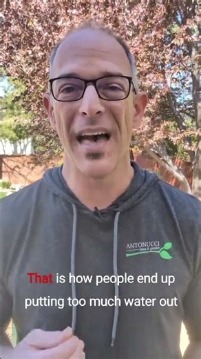 Don’t Water Spring Like Summer | Reno Irrigation Advice