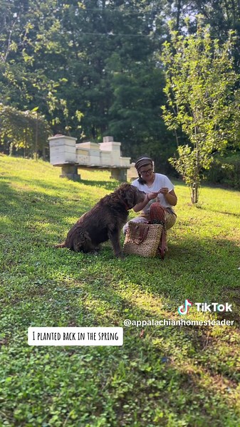 Paige Bolick on TikTok