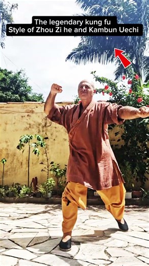 Secret Tiger & Crane Kungfu💪Ancient Shaolin southern technique#shorts
