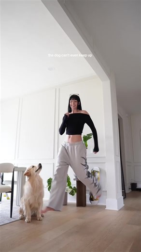 Just Too Lit: Hilarious Dog Fails