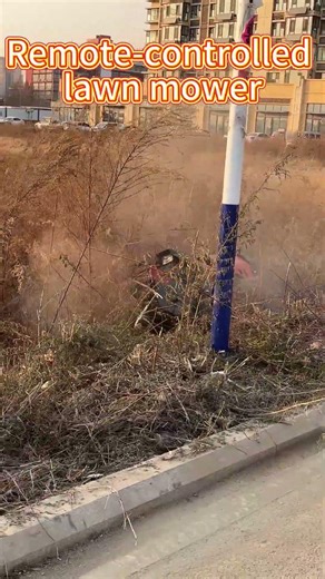 🤖 Meet your lawn’s new savior: the Smart Weeding Robot 🌿