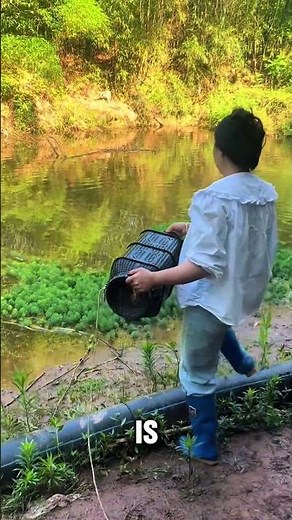 Smart DIY Bait Trap Technique