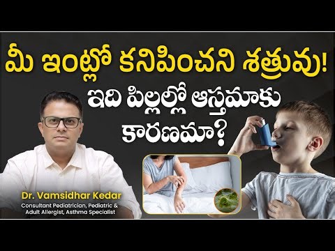 Dust Mites Exposure Effects on Indian Homes | House Dust Mites | Ankura Hospital