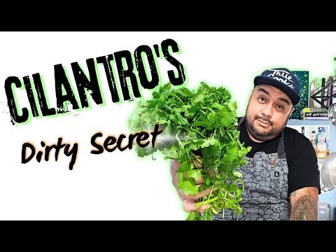 Cilantro Mastery: How To Clean And Cut Cilantro Like A Pro