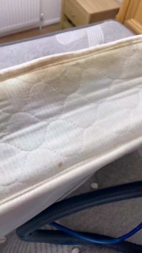 Effective Mattress Cleaning with a Steam Cleaner