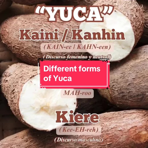 Yuca: A Caribbean Staple Rooted in Culture