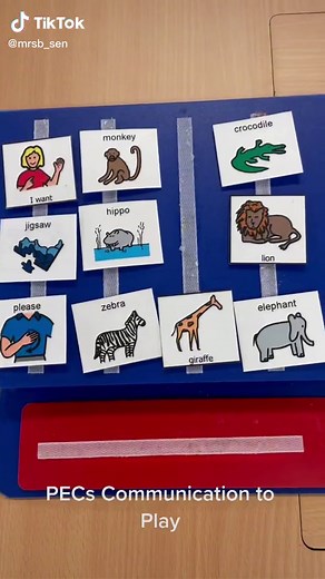 Enhancing Classroom Communication with PECs