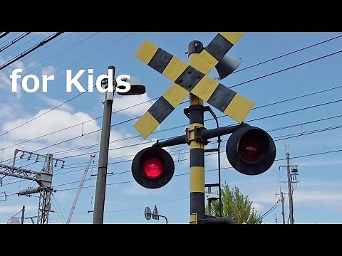 Level Crossing Video for Kids Vol. 1