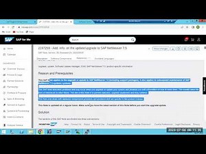 SAP -SNOTE , SPAM and SAINT