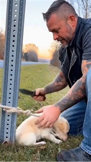 2.3K views · 45 reactions | The moment the biker cut the rope, the...