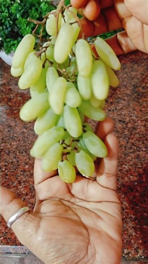 Stop Washing Grapes Wrong – Do This Instead!