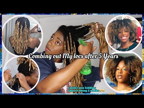 Combing out my Locs after 5 years😱😱|THIS TOOK ALMOST 2 WEEKS🥵🥵 |Entire process|Abby Laura