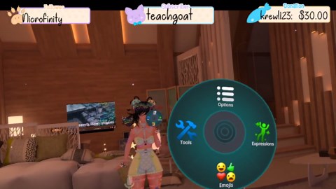 Hand Action Menu not working on ANY avatar?