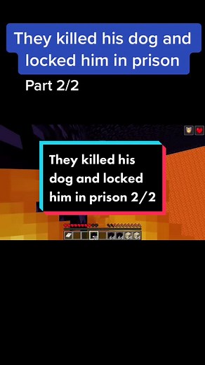 Part two👏 #seagull #minecraft #minecraftclips #fyp #escape