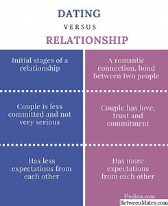 关系和关系 - 语言 2025