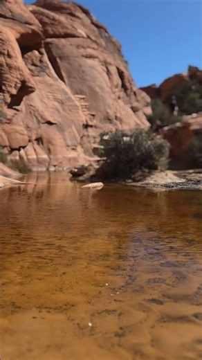 Skip the casinos, do this instead 🥾 #fyp #CalicoTanksTrail #RedRockCanyon #LasVegas #HiddenGems