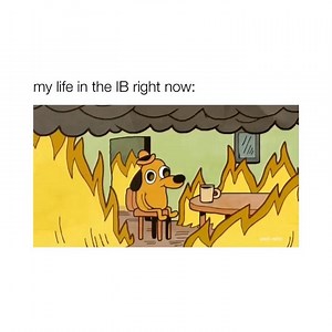 THIS IS FINE. everything will be ok • • • • • • • #ib #iblife #ibdp #internationalbaccalaureate #ibproblems #ibstudent #ibschool #ibprogram #smartib #smartibapp #ibdiploma #ibsurvival #ibsurvivor #ibIA #internassessment #extendedessay #theoryofknowledge #ibcas #group4 | Smart IB Memes