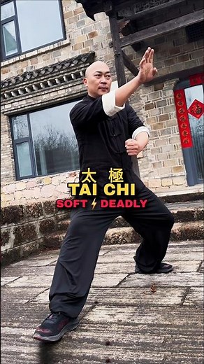 Tai Chi Power Unleashed⚡Soft Moves, Unstoppable Force