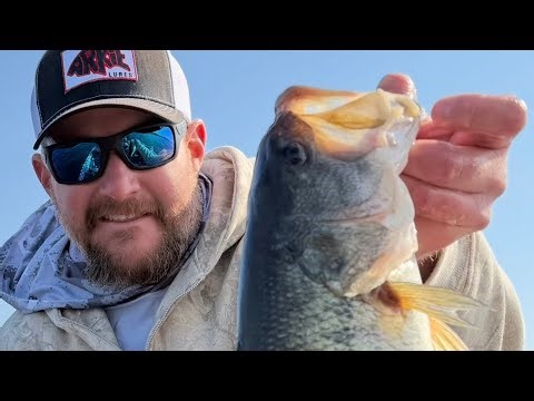 Table Rock Lake Fishing Report with Breaking Bass Guide Service 2-12-2026