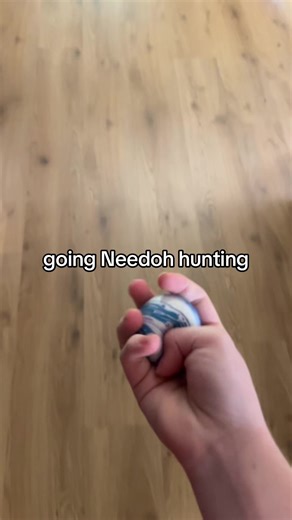 Exciting Needoh Haul and More Finds!
