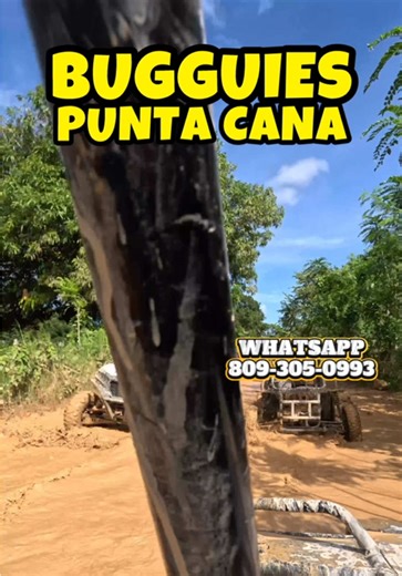 ❌ BUGGUIES PUNTA CANA ❌ 📆 DIAS 18, 25 DE ENERO / 15, DE FEBRERO. 📆 DÍA 01, 15 DE MARZO 🎊Lugares de vista: ★ #RanchoDeBuggies . ★ #CuevaTaina. ★ #CasitaDomi. ★ #PlayaMacao. 😍 Este tours incluye unos de los paquetes VIP como. 🏖Transporte Confort. 🏖Desayuno VIP (Mangú, salami y queso) 🏖Rico almuerzo buffet. 🏖Guía especializada. 🏖Pago de impuestos. 🏖Degustación de productos dominicanos (café, cacao, tabaco). 🏖Snack de regreso. 🏖Entradas a la Casita Típica. 🏖Figura en las redes (Si lo de