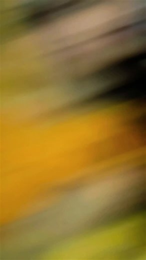 🌹Radha Rani🌹 | मेरे जैसी👩‍❤️‍👨❤️🧿 🧿🧿 . . . . . . . . . . . . . . . . . . . . . . .@vanshikak56💖💖.... . . . . . . . . . . . . . .How to boost Instagram... | Instagram