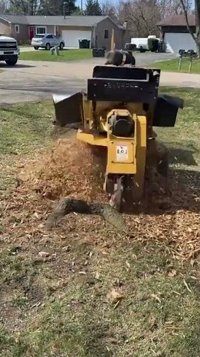 the process of grinding tree stumps in the yard using a special machine, easy, simple and fast.