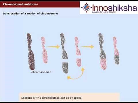 Chromosomal mutations