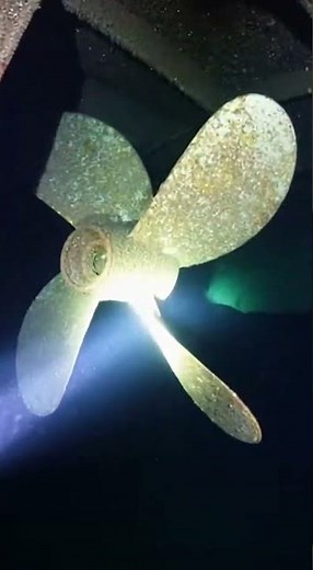 What Was Hidden Beneath the Shipwreck? | Deep Ocean Exploration