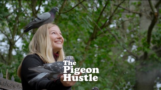 Upcoming shows this fall on KTWU! | ktwu11 | Facebook