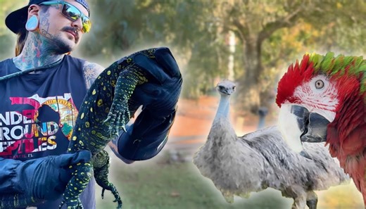 Inside a private ranch housing dozens of potentially dangerous animals