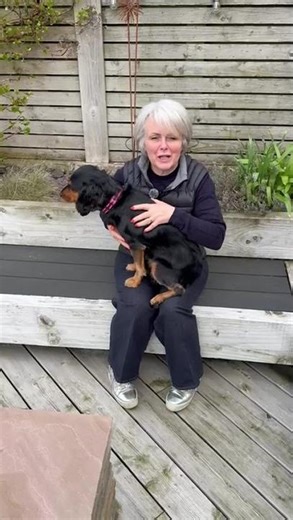 It's National Puppy Day!