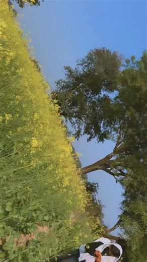 @tituagam__ on Instagram: "🤣😃…"