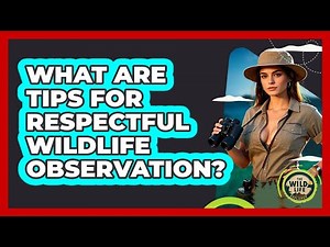 What Are Tips For Respectful Wildlife Observation?