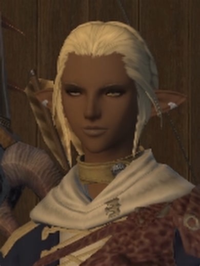 Overstimulated Miqo’te Adventures in FFXIV