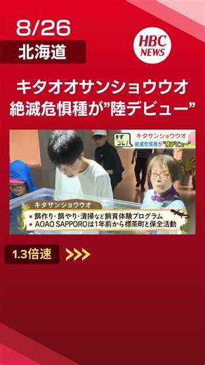 【絶滅危惧種】水の中から陸へ！キタサンショウウオが「AOAO SAPPORO」で陸デビュー エラ呼吸から肺呼吸へ…成長の瞬間を公開 北海道札幌市 #北海道 #ニュース #札幌 #絶滅危惧種 #水族館