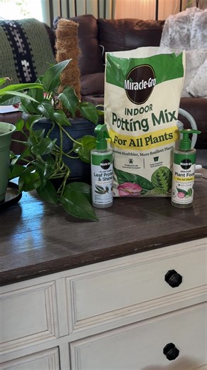 #houseplants #indoorplants #miraclegro | Plant