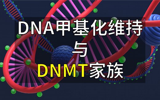 表观遗传系列-5. DNA甲基化的维持与DNMT蛋白家族