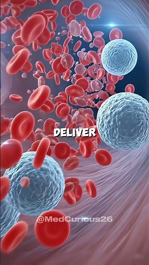 What Happens Inside Your Blood Vessels? 🩸 | Amazing 3D Animation