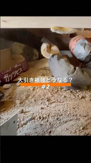 大引き補強作業#2 床下基礎工事にて、既存大引きに新規大引きを両側から抱き合わせ、カタネジで締結し強度を確保。#ショート#基礎工事#施工