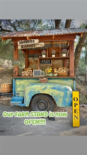 Come by the Fregulia Ranch and pick up your fresh and organically grown produce. | Sol Apiary & Farm