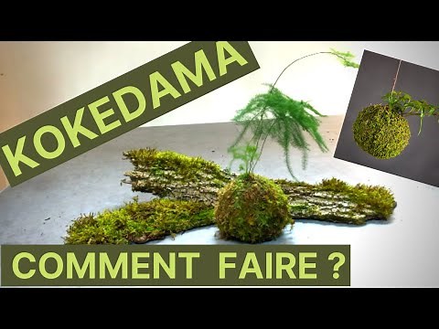 HOW TO MAKE A KOKEDAMA #kokedama #DIY