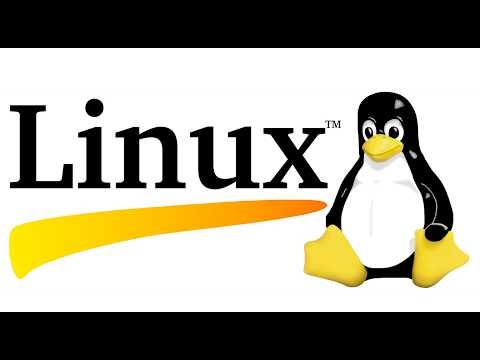 Debian Minimal (Linux) pe CS2 pe i7-4790K GTX 1050 Ti 4GB