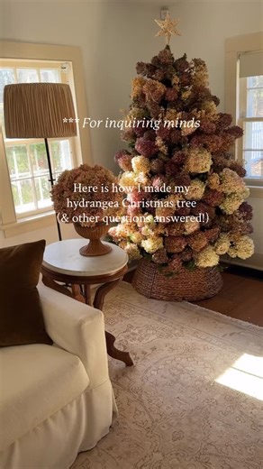 ANDREA PION PIERRE on Instagram: "Answers to my most frequently asked questions about my hydrangea Christmas tree 🤍 #hydrangealove #hydrangeas #hydrangea #homeandgarden #newenglandliving"
